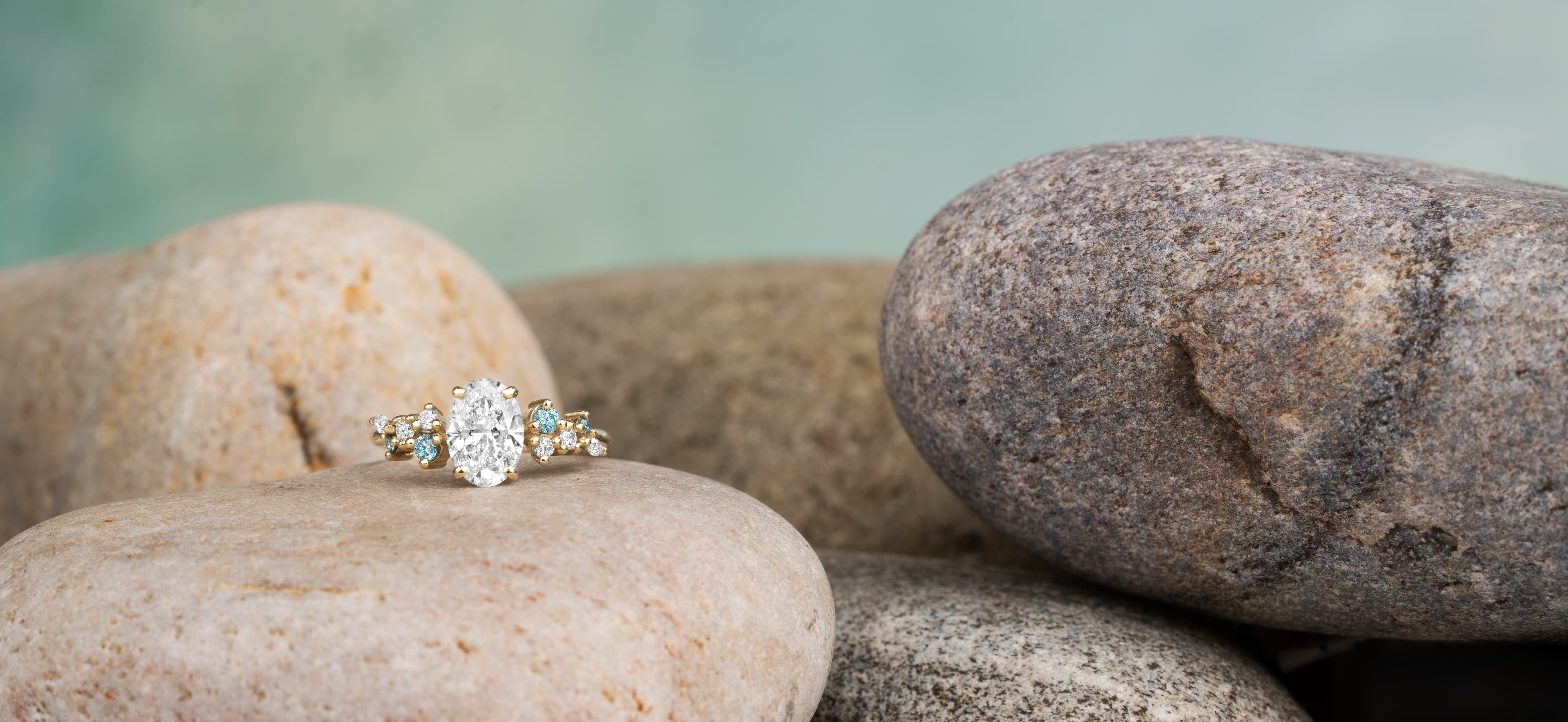 A finished bespoke Aardvark ring presented in its box