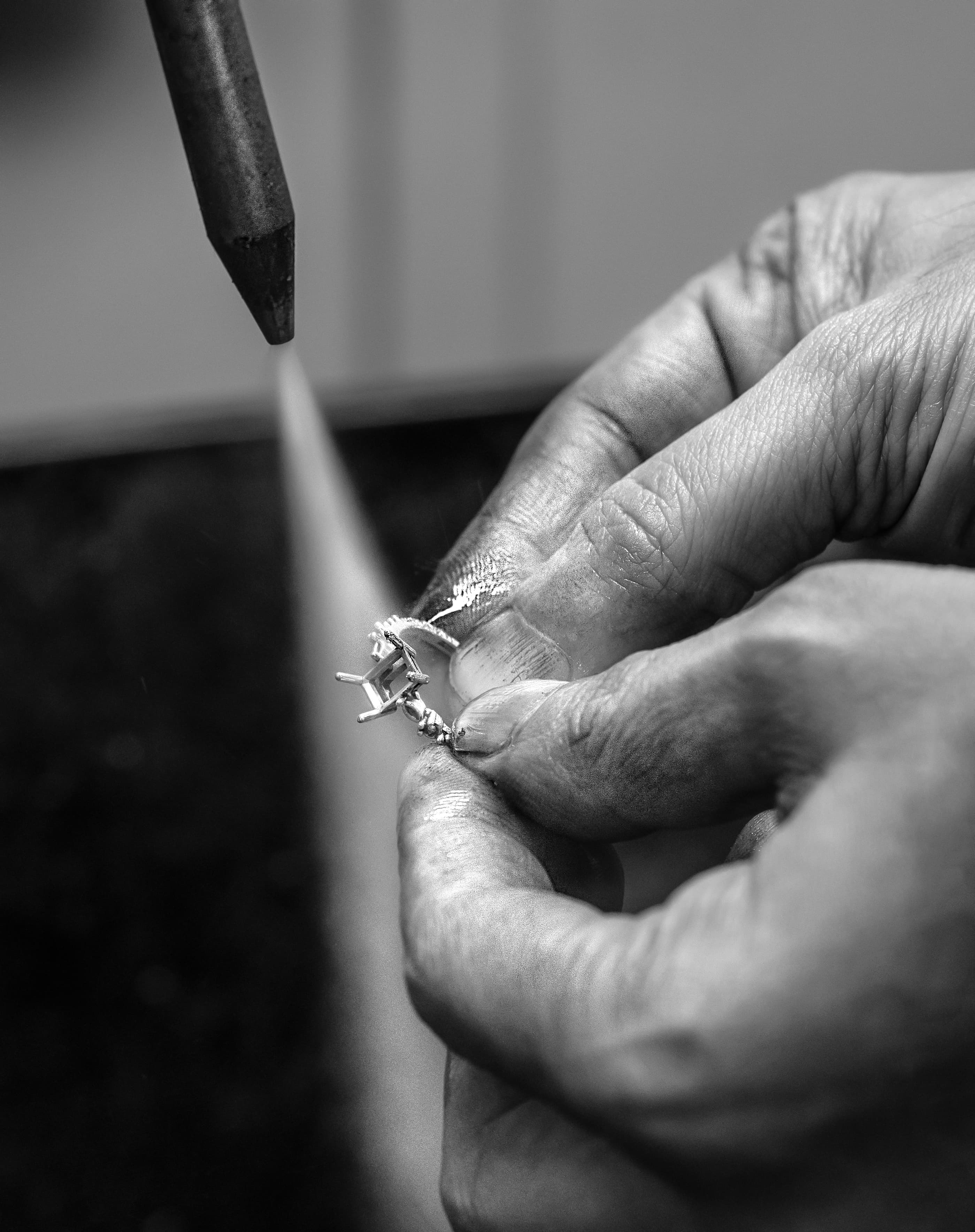Aardvark jeweller hand-setting a gemstone under magnification